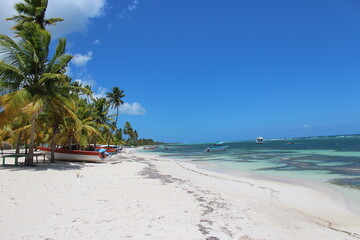 Beautyful Caribbean Beach in Summer