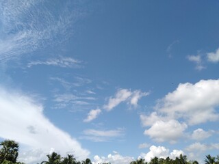 Obraz premium Cloudy sky in Forest