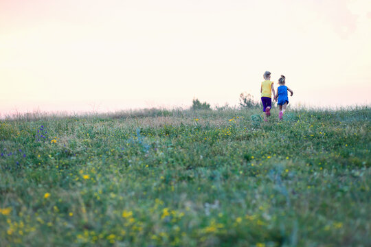 Children run across the field in summer among wildflowers, a sense of freedom, a happy childhood surrounded by nature, hiking, family holidays in the country