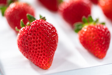 Chocolate dipped strawberries
