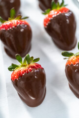 Chocolate dipped strawberries