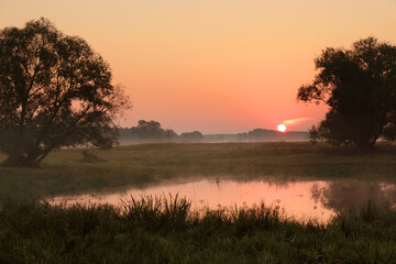 Colorful sunrise by the field, Poland.