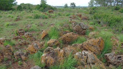 rocks in the field