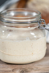Sourdough starter