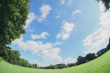 魚眼レンズで撮影した青空と公園