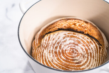 Wheat Sourdough Bread