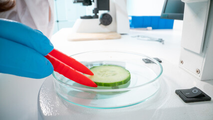 Inspection of the quality of vegetables and fruits in the laboratory of food quality