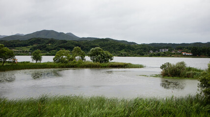 Obraz premium River visible on a cloudy day