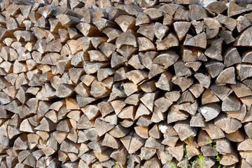 Cross section of the timber for the background. Selective trendy soft focus.