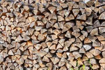 Cross section of the timber for the background. Selective trendy soft focus.