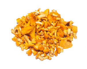 Bunch of chanterelle mushrooms on white background