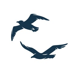 Seagull in the sky for nautical marine design
