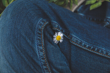 Daisy flower on feet during a picnic, beautiful minimalistic photo in nature