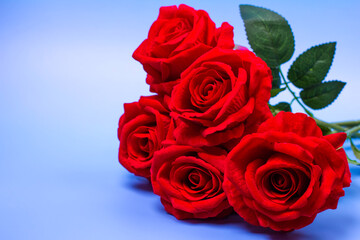 bouquet of artificial red roses on a blue background