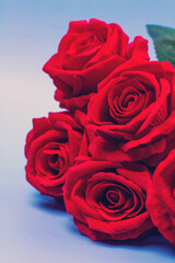 bouquet of artificial red roses on a blue background