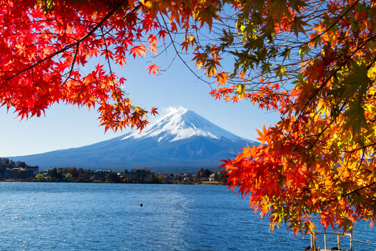 Autumn Season and Mountain Fuji with red leaves at lake Kawaguchiko, Japan. Five Lakes area. View with maple leaves as a frame. - Powered by Adobe