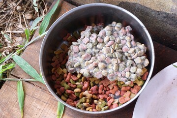Fiber and spores and animal feed.