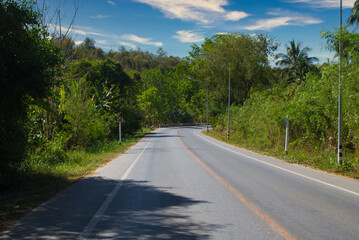 This unique photo shows a country road which runs through the wild jungle of Thailand and ends with a right turn. You can see the green nature