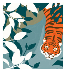 Cartoon tiger walking in a jungle, top view. Stock vector illustration. Rainforest inhabitants.