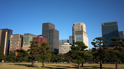 Fototapeta na wymiar View of the skyscraper buildings in the Marunouchi district, Chiyoda Ward, Tokyo, Japan