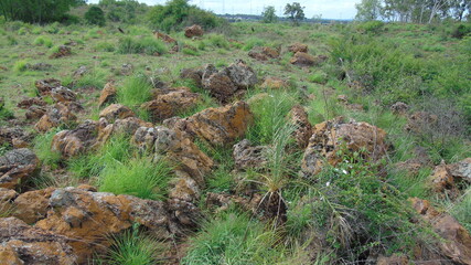 stone in land