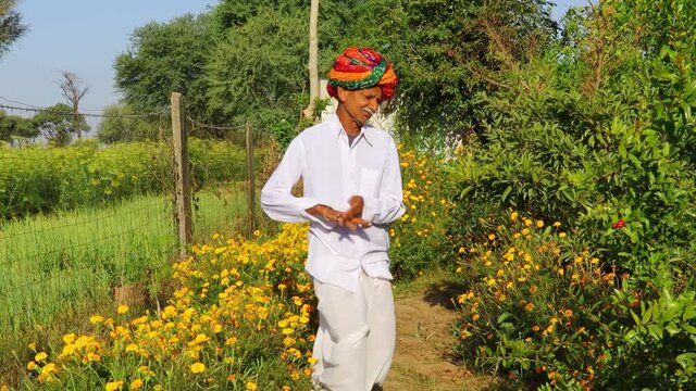 A farmer dressed in his customs and traditions and dancing in the garden ( Like white dhoti and ember and turban ) And all around shiny greenery blooms marigold flowers in it