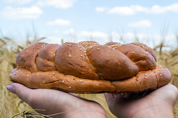 Wheat field, blue sky, fragrant bread