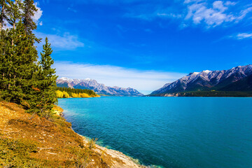 Fototapeta na wymiar Turquoise Abraham Lake