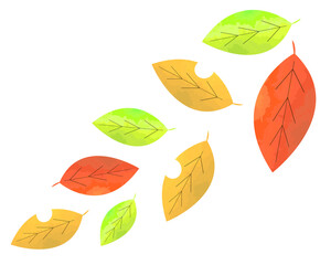 銀杏 イチョウ 葉 秋 落ち葉 イラスト 紅葉 落葉 楓 もみじ Acer Wall Mural Ac Nisi
