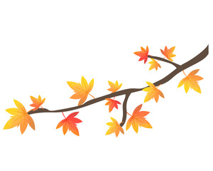 紅葉のイラスト　楓　木