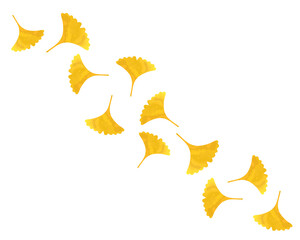 銀杏 イチョウ 葉 秋 落ち葉 イラスト 紅葉 落葉 楓 もみじ Wall Mural Nisi