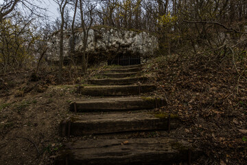 stairway in a forest to a cave