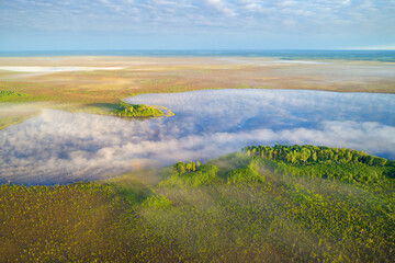 Swamp lake in the morning