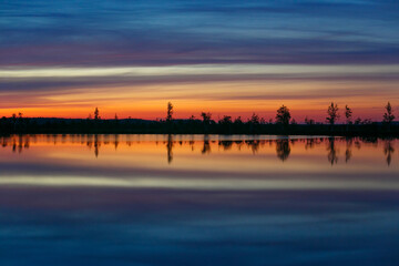 Beautiful swamp at dawn