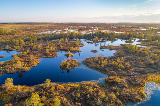 Sunrise at a swamp