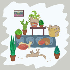 cozy house and sleeping cats in a room with plants in pots