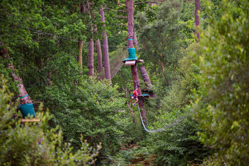 young man in a tree climbing park