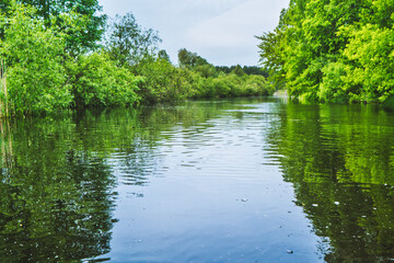 River landscape and green forest with trees blue water clouds on sky