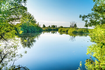 River landscape and green forest with trees blue water clouds on sky