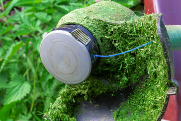 Fototapeta premium Trimmer with mowed fresh green grass on lawn. Close-up. Garden equipment. Blue grass cutting line.