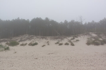 Beach on the Baltic Sea in Poland