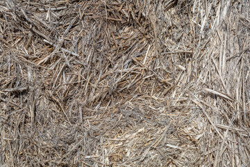 Textured dried stalks of cannabis sativa for the production of woven goods