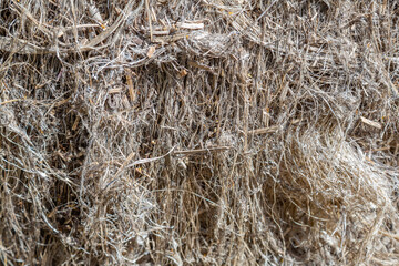 Textured dried stalks of cannabis sativa for the production of woven goods