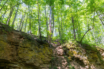 view from a cave in the Ichalkovsky forest