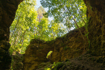 view from a cave in the Ichalkovsky forest