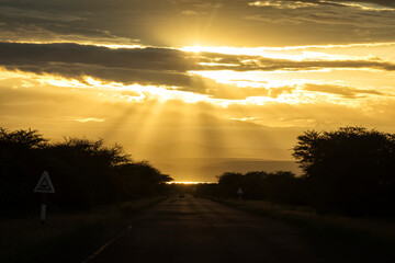 Naklejka na ściany i meble Safari car on a road during sunset in Tanzania with beautiful rays of lights in background.
