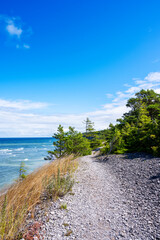 Fototapeta premium Forest coastal landscape on sunny summer day