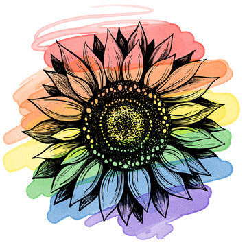 Hand drawn ink sunflower and watercolor rainbow. LGBT gay pride illustration.
