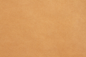Pale orange plush lined fabric background