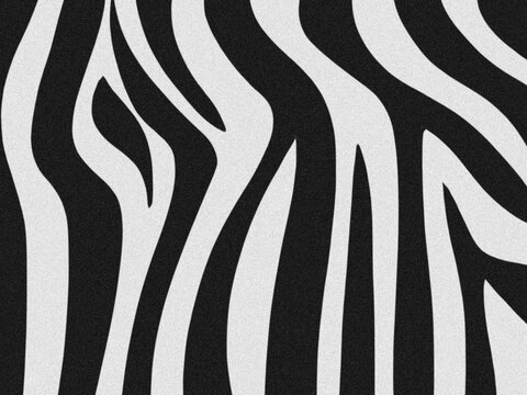 zebra skin texture background image